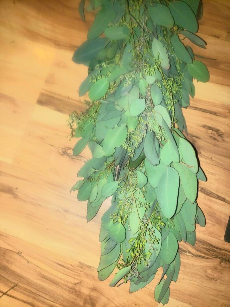 Fresh Eucalyptus Garland or Table Runner with Seeded Silver Etsy