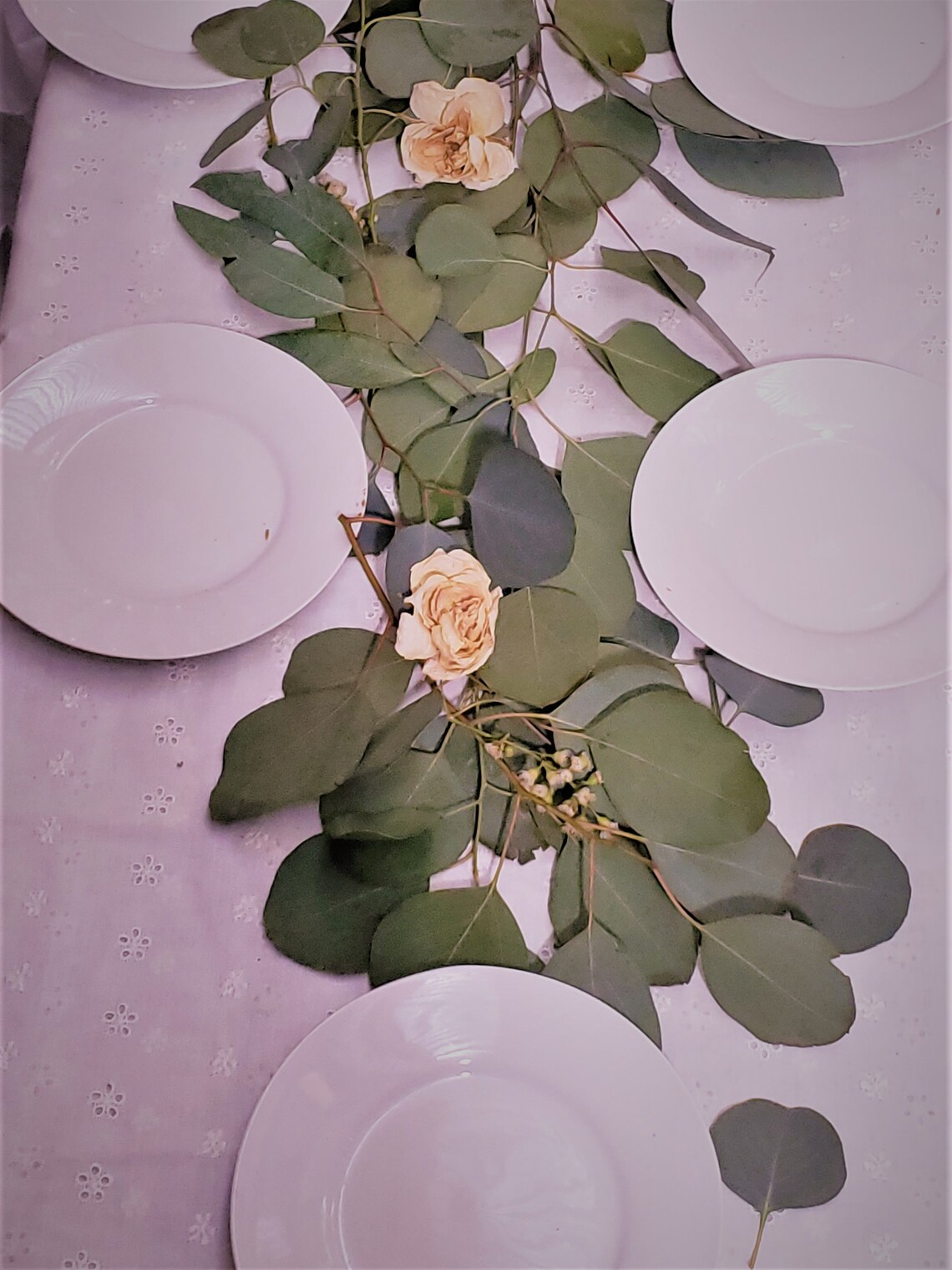 Fresh Eucalyptus Garland or Table Runner with Seeded Silver Etsy