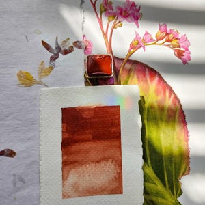 Handmade Watercolor | Redwood | Granulating Watercolor Paint | Artist Watercolor | Custom Mixed Half Pan