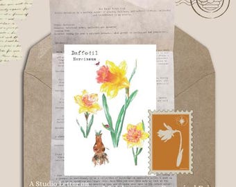 Primrose 5 by 7 inch Print Bee House Print Club Feb 2026 - Catch Up Mail