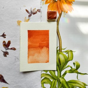 Handmade Watercolor | Tangelo | Orange Granulating Watercolor Paint | Artist Watercolor | Custom Mixed Half Pan