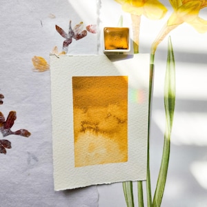 Handmade Watercolor | Yellow Iron Oxide | Oxide Pigment Watercolor Paint | Artist Watercolor | Custom Mixed Half Pan