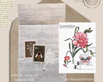Carnation 5 by 7 inch Print Bee House Print Club Jan 2026 - Catch Up Mail