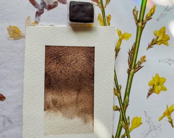 May include: A watercolour paint pan with a brown pigment. The pan is on a white sheet of paper with a rough texture. The paper is next to a sheet of paper with a botanical illustration of yellow flowers and green stems.