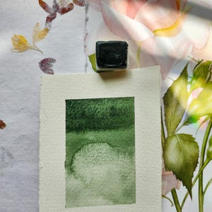 Acquerello fatto a mano / Verde Monte Carlo / Acquerello verde granulato / Acquerello artistico / Mezza padella mista personalizzata