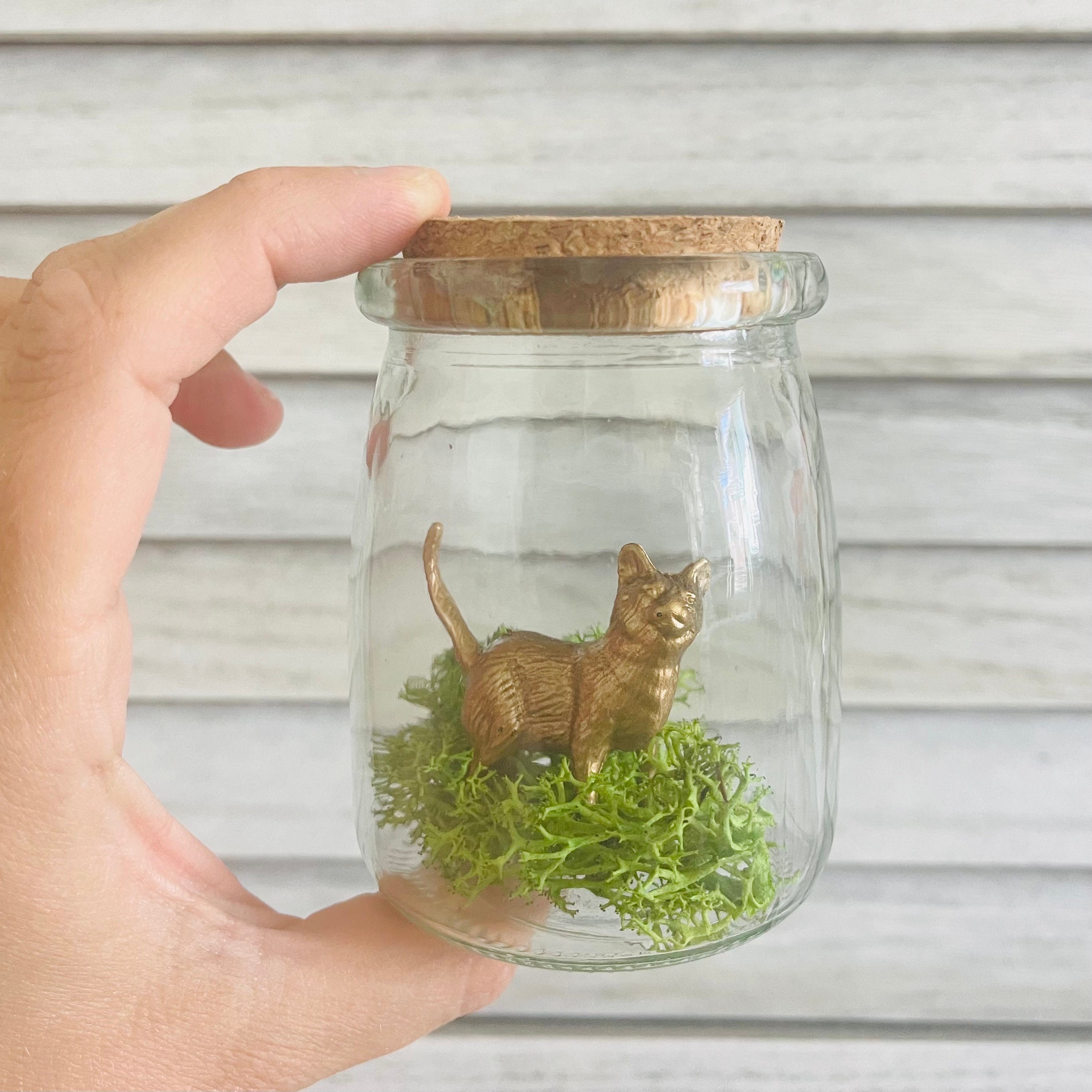 Mini Terrarium Cat Decor for Home Cottagecore Decor Desk Etsy