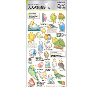 Kamio | Erwachsene visuelle Wörterbücher | Papageien Gefühle | Aufkleber| Meer| Blattgold| Aufkleber| Notizbuch| Spielplan| dekorieren| Scrapbooking