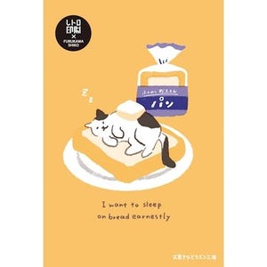 Shiko Furukawa| Atelier de bonbons pour animaux| Toast pour chaton| Carte postale rétro| Impression rétro JAM
