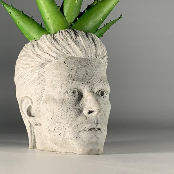 David Bowie - Ziggy Stardust - POP Music -  Succulent Planter - Dj Gift - Air plant - Music Gift