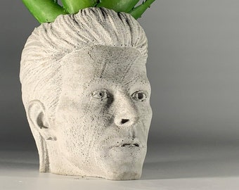 David Bowie - Ziggy Stardust - POP Music -  Succulent Planter - Dj Gift - Air plant - Music Gift