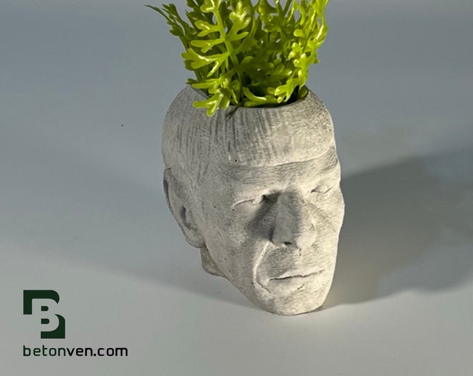 Spock - Star Trek - Sci-fi-  Succulent Planter - Dad Gift - Air plant - Grandad Gift