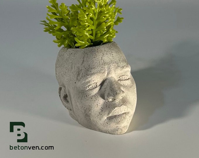 Notorious BIG - Biggie - Biggie Smalls - Gangsta Rap Music - Succulent Planter - Dj Gift - Air plant - Music Gift