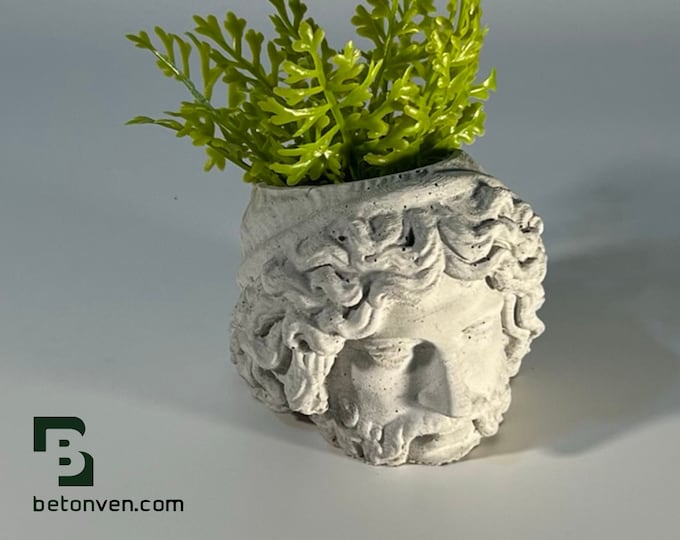 ZEUS FACE PLANTER  - Zeus Head Planter - Head Planter - Sculpture Planter - King of Gods - Home Decoration - Home Decor