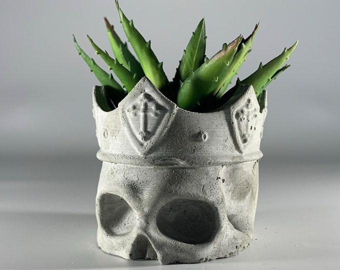 SKULL concrete planter - ITALY 18/19 CENTURY - Scull with crown -  Succulent Planter - Dia De Los Muertos - Air plant - Skull