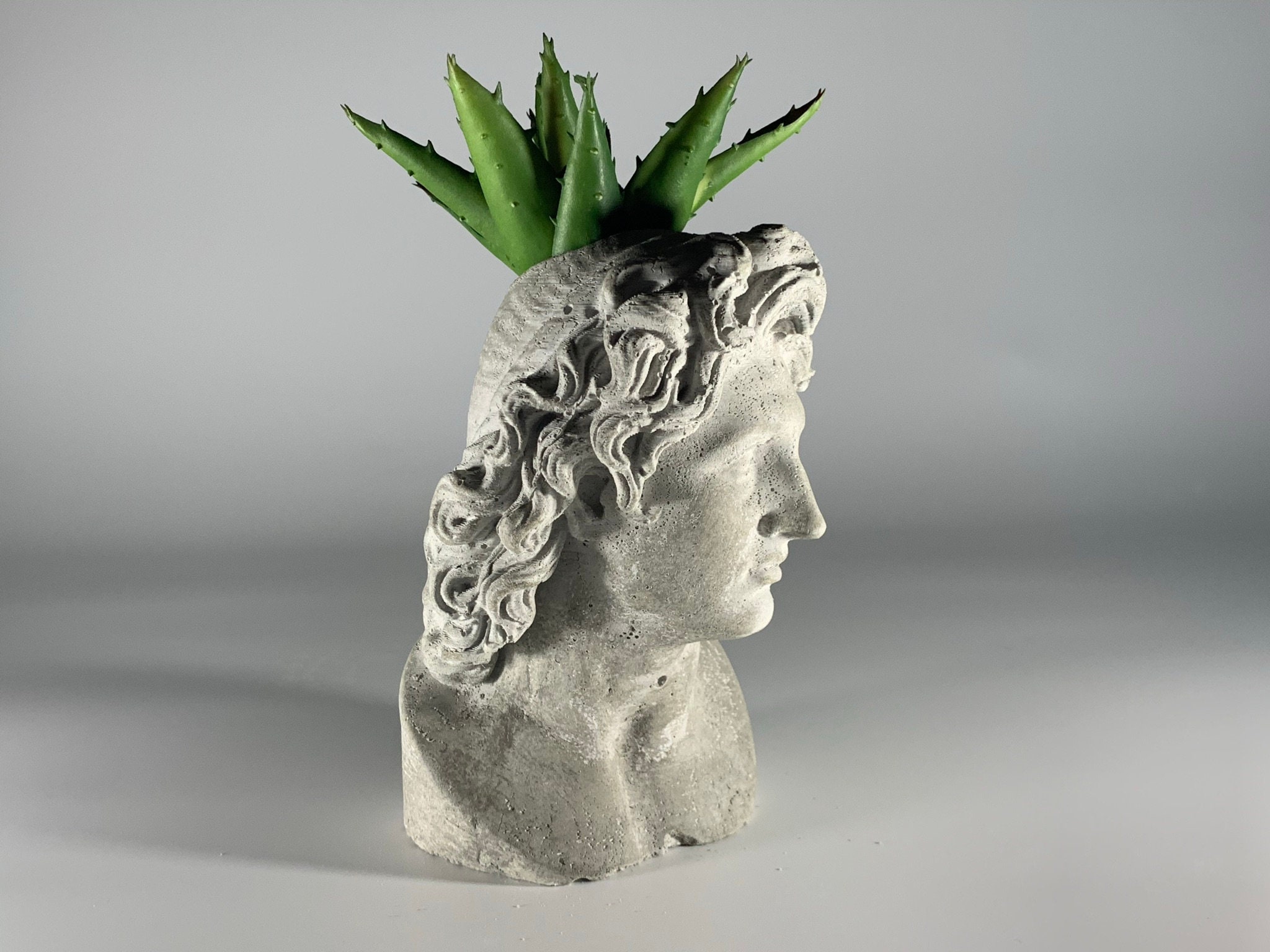 Gepege Succulent Plants Pot Set of 3 Modern Indoor/Outdoor Cement Statue Face Vase Concrete Head Planter for Home Office Desk Decoration 3 Inch 