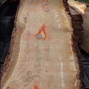 May include: A large slab of wood with a natural, light brown color and a distinctive grain pattern. The wood has several knots and a few reddish-brown streaks.