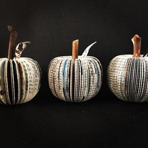 Sculptural apples made from recycled books. A real branch is used for their stems.