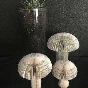 Sculptural mushrooms made from recycled books. Available in three sizes.