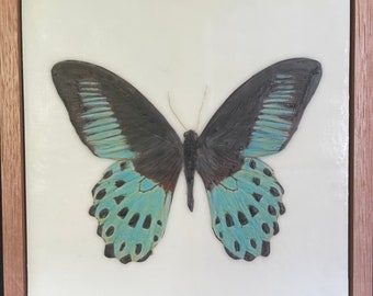 Butterfly Kisses #3 | encaustic wax | mixed media | butterfly art | whimsical art | Karen Canning Artist |textured|incised|turquoise & black