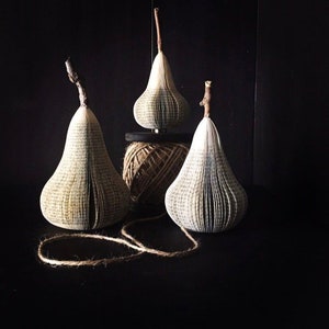 Sculptural pears made from recycled books. A real branch is used for their stems.