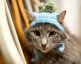 Crochet Strawberry and Blueberry Cat Hat