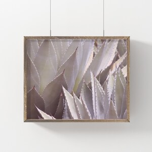 AGAVE Downloadable Print,Succulent Print,Desert Print,Agave Art,Succulent Photo,Cactus Art,Digital Prints,Downloadable Prints,Cacti