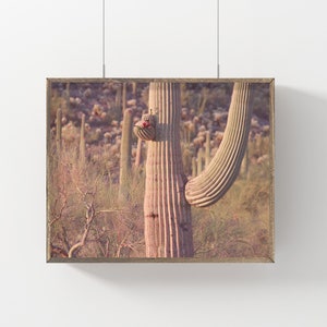 SAGUARO Downloadable Print,Cactus Print,Cactus Art,Cactus Wall Art,Saguaro Cactus,Cactus Digital Art,Saguaro Art,Arizona,Desert Print,Cacti