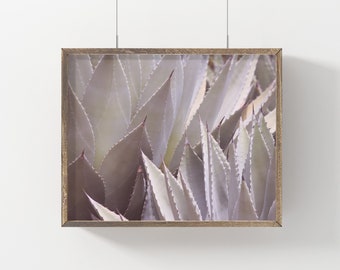 Stampa scaricabile AGAVE,Stampa succulenta,Stampa deserto,Arte dell'agave,Foto succulenta,Arte del cactus,Stampe digitali,Stampe scaricabili,Cacti