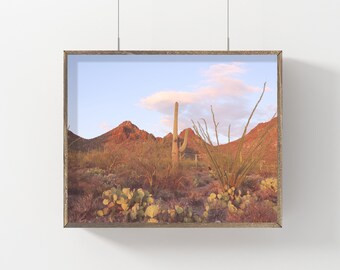 DESERT SUNSET Downloadable Print,Desert Print,Cactus Print,Cactus Art,Cactus Wall Art,Desert Wall Art,Desert Art,Desert Photo,Cactus Photo