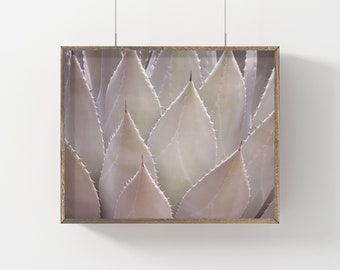 Stampa scaricabile AGAVE,Stampa succulenta,Stampa di agave,Arte di agave,Foto succulenta,Arte del cactus,Stampe digitali,Stampe scaricabili,Stampa di cactus,
