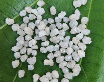 May include: A close-up of a collection of small, rough, white diamonds scattered on a green leaf. The diamonds are various sizes and shapes, with some appearing more translucent than others.