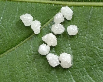 1,85 Cts veel 2,5 mm-3,0 mm natuurlijke witte ruwe diamant, witte ruwe diamant, ongeslepen diamant, losse sneeuwwitte diamant, conflictvrije diamanten