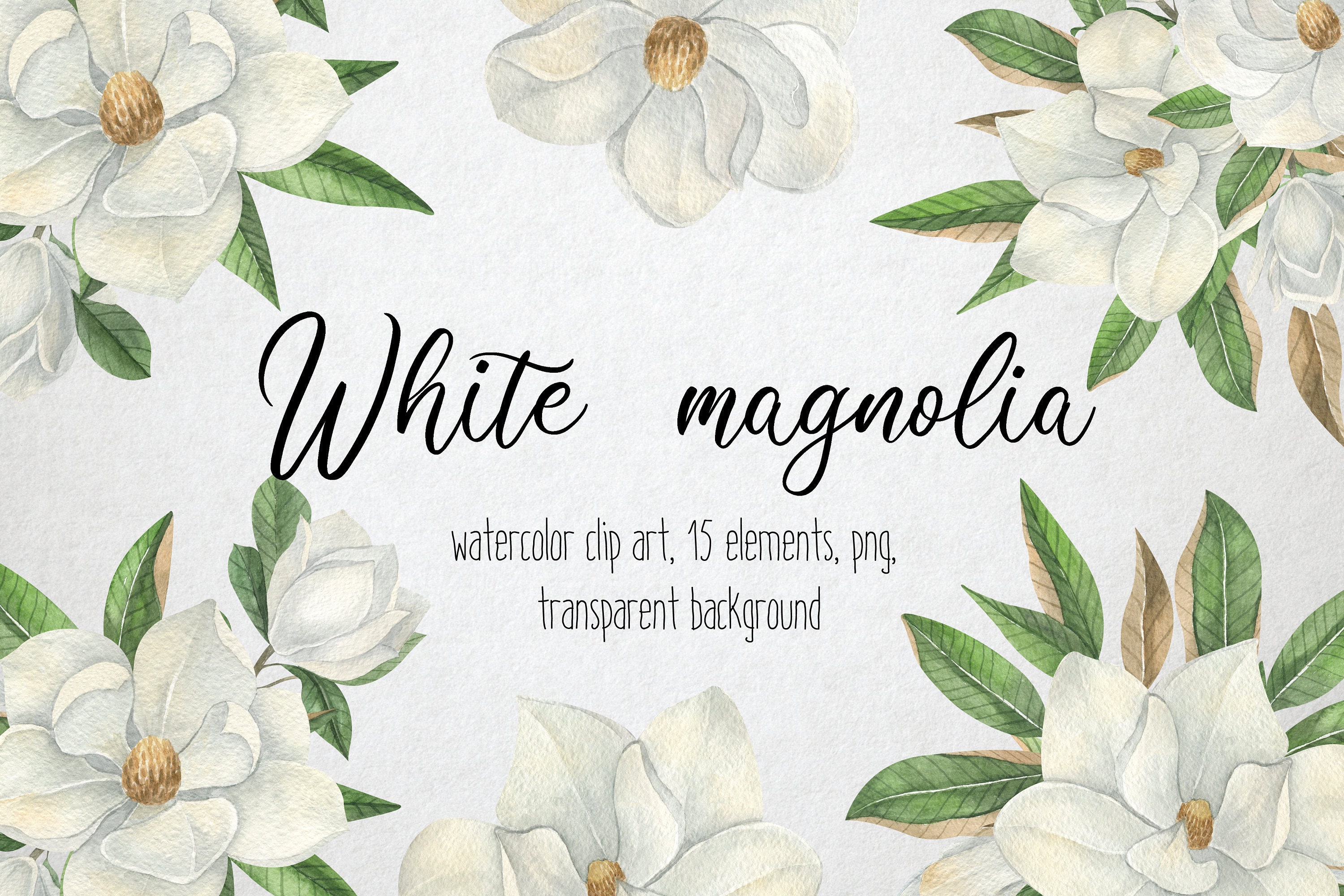 Download White Magnolia Flowers Clip Art Watercolor Summer Clip Art Etsy