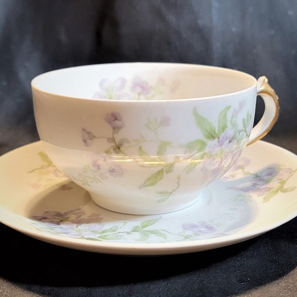 Cup & Saucer Ch. Field Haviland Limoges GDA Made in France Vintage 1900