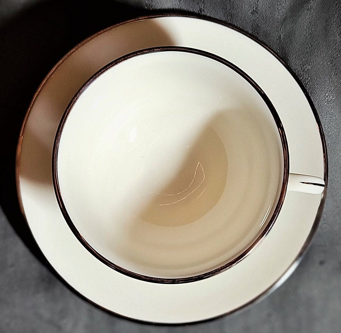 MINT Cup & Saucer Set Never Used Vintage Pickard China Made in USA MINT Cup & Saucer Set Never Used Vintage Pickard China Made in USA