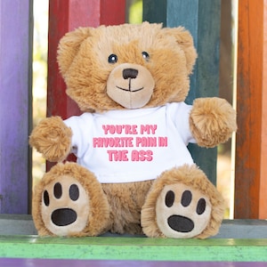Favorite Pain Stuffed Teddy Bear With Shirt, Funny Pickup Line Anniversary Gift For Girlfriend Boyfriend Gifts, Valentine&#39;s Day