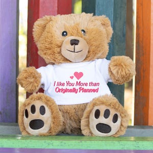 I Like You More Than Originally Planned Stuffed Teddy Bear, Funny Pickup Line Anniversary Gift, Girlfriend Boyfriend Gifts, Valentine&#39;s Day