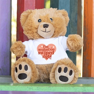 I&#39;m So Glad You Swiped Right Stuffed Teddy Bear, Funny Pickup Line Anniversary Gift For Girlfriend Boyfriend Gifts, Valentine&#39;s Day