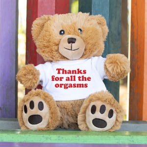 Thanks For All The Orgasms Stuffed Teddy Bear, Funny Pickup Line Anniversary Gift, Girlfriend Boyfriend Gifts, Valentine&#39;s Day