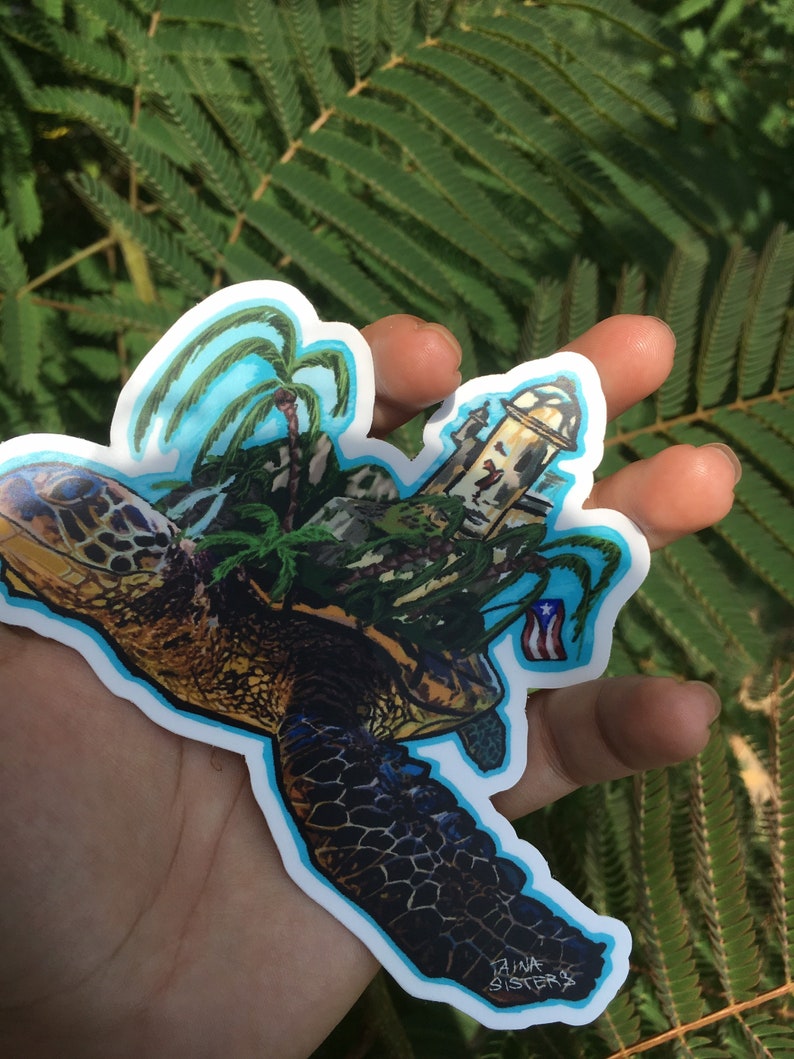 Turtle Isla Sticker Art - Etsy