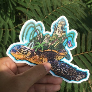 Turtle Isla Sticker Art