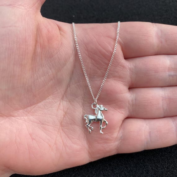 Luomart Girls Horse Necklace Gifts,Dainty Rainbow Horses Jewelry For Women Boys,Initial Letter Necklaces Pendant For Teen Girl Horses Lovers (Gold Rainbow Horse