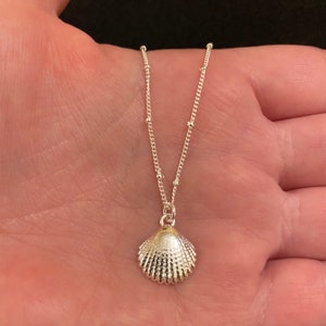 Sterling silver chain necklace with shell charm, sterling silver shell necklace, shell jewellery, beach jewellery