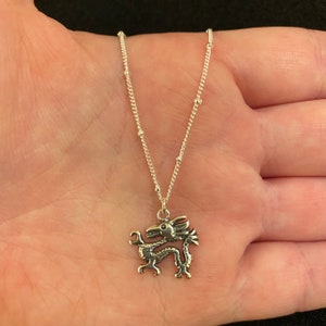Sterling zilveren ketting met Chinese draak charme, sterling zilveren Chinese draak ketting, Chinese draak sieraden