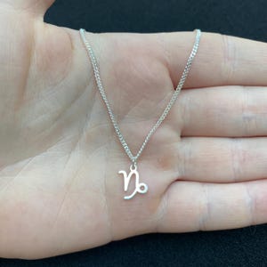 山羊座のチャーム付きスターリングシルバーネックレス、山羊座のネックレス、山羊座のジュエリー、星座ネックレス、星座ネックレス