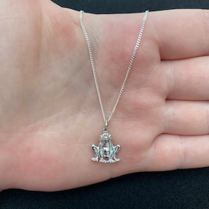 May include: A silver chain necklace with a small, detailed frog pendant.
