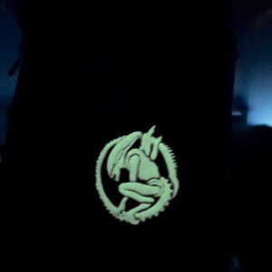 Op de afbeelding: Zwart kledingstuk met een gloeiend groen Alien-embleem. Het embleem toont het wezen in een cirkelvormig ontwerp met een gedetailleerde, getextureerde omtrek. De afbeelding staat tegen een donkere achtergrond, wat de lichtgevende kwaliteit van het ontwerp benadrukt.
