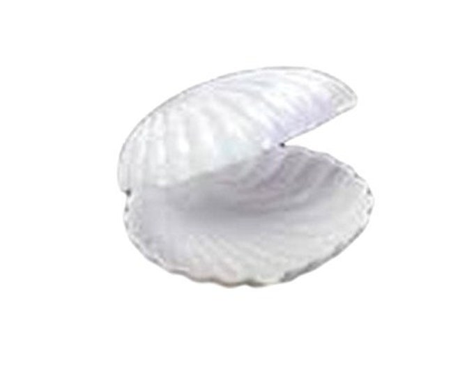12 Medium Plastic Shell Candy Boxes Favors White 2.5 Inches Diameter