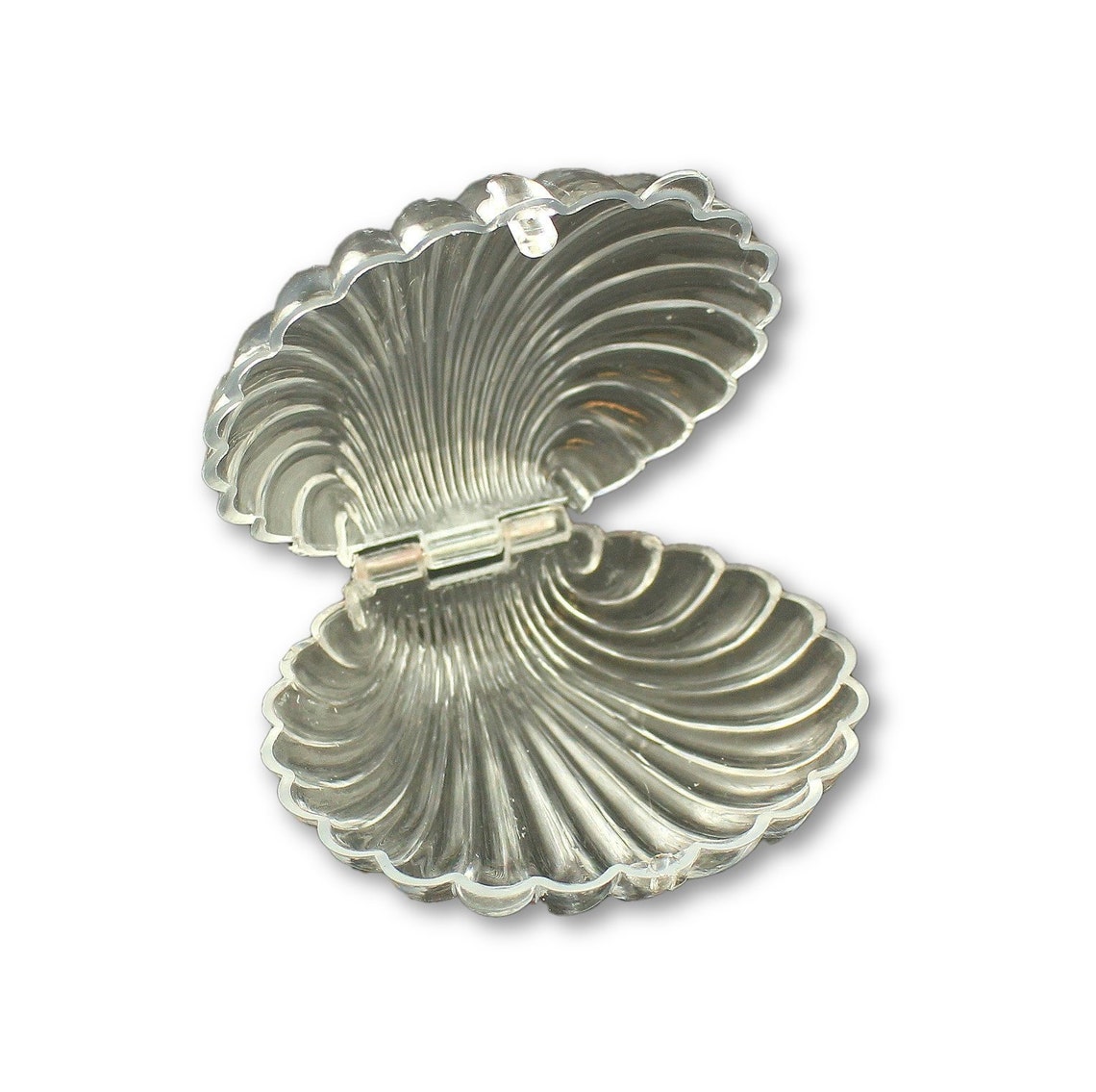 Clear & White Plastic Clam Shells Seashell Party Favors 12 Etsy