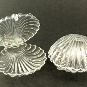 12 Pack White Plastic Seashell Clam Favors – 2.5 Inch For Parties & Decor
